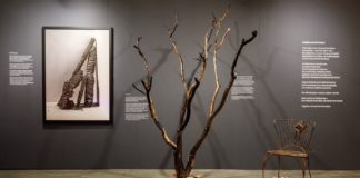 PHOTO: ArtCenter | The South Pasadenan | ArtCenter’s Spring 2025 Grad Show to Feature Poignant Installation–Resilience in the Ashes