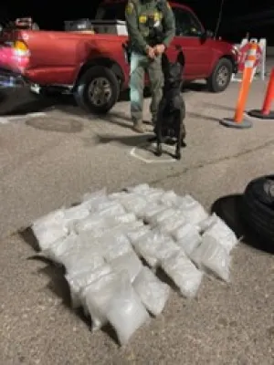 | The South Pasadenan | South Pasadena News The U.S. Border Patrol K-9 that first alerted agents to the possible presence of narcotics sits beside 51 pounds of seized methamphetamine