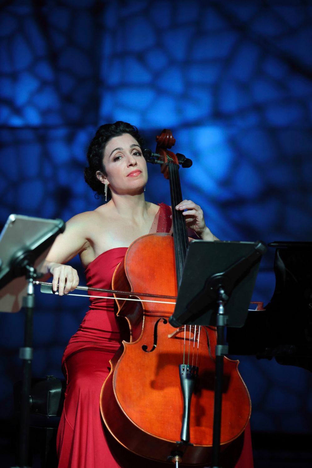 Ani Aznavoorian, cello