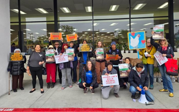 PHOTO: Direct Action Everywhere | The South Pasadenan | DxE activists protest outside of Trader Joe’s in South Pasadena, CA on May 4, 2025