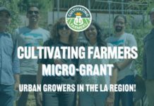 Los Angeles Urban Growers Can Apply for Cultivating Farmers Micro-Grant by June 13 PHOTO: County of Los Angeles Public Health | The South Pasadenan | The Cultivating Farmers Micro-Grant provides $15,000-$20,000 in funding to support urban growers across Los Angeles