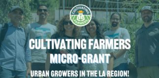 PHOTO: County of Los Angeles Public Health | The South Pasadenan | The Cultivating Farmers Micro-Grant provides $15,000-$20,000 in funding to support urban growers across Los Angeles