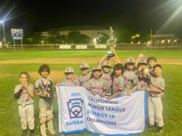 SPLL 8U All-Stars Crowned 2024 District 18 Champions