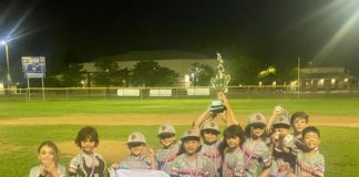 SPLL 8U All-Stars Crowned 2024 District 18 Champions