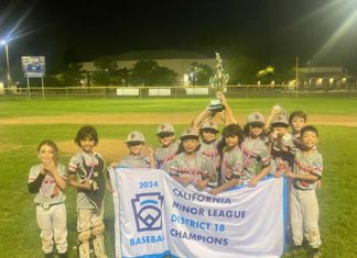 SPLL 8U All-Stars Crowned 2024 District 18 Champions