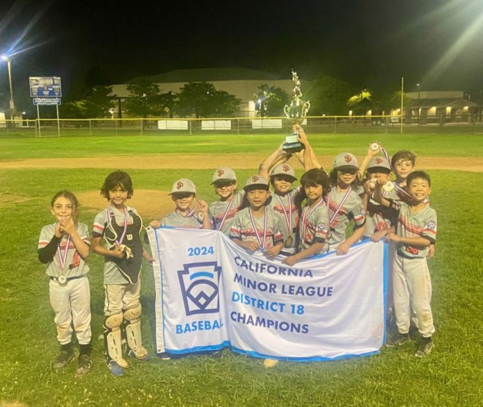 SPLL 8U All-Stars Crowned 2024 District 18 Champions