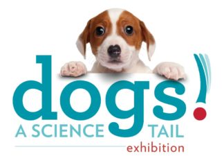 PHOTO: California Science Center | The South Pasadenan | Dogs! A Science Tail Returns to the California Science Center And is Now Open