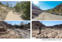 Eaton Canyon Trails Remain Closed Through 2025 for Safety and Recovery PHOTO: https://trails.lacounty.gov/ | The South Pasadenan | Eaton Canyon trail closure