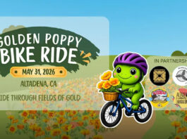 Graphic: Lotus Rising LA | The South Pasadenan | Altadena Community Marks Recovery Milestone With Inaugural Golden Poppy Community Celebration & Bike Ride