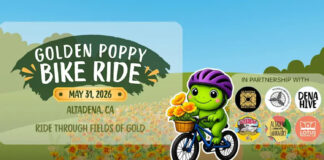 Graphic: Lotus Rising LA | The South Pasadenan | Altadena Community Marks Recovery Milestone With Inaugural Golden Poppy Community Celebration & Bike Ride