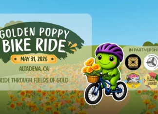 Graphic: Lotus Rising LA | The South Pasadenan | Altadena Community Marks Recovery Milestone With Inaugural Golden Poppy Community Celebration & Bike Ride