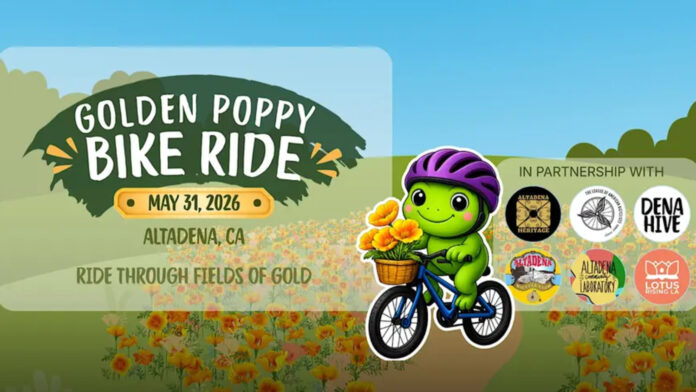 Graphic: Lotus Rising LA | The South Pasadenan | Altadena Community Marks Recovery Milestone With Inaugural Golden Poppy Community Celebration & Bike Ride