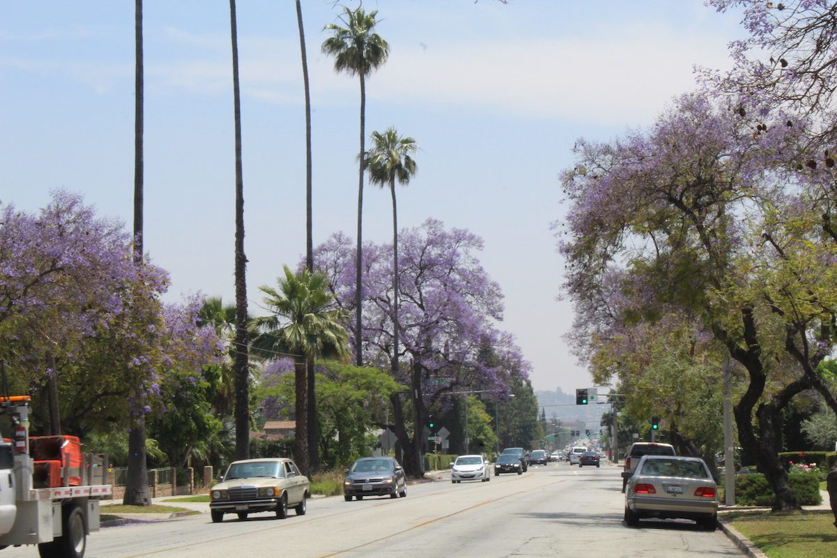 | The South Pasadenan | South Pasadena News