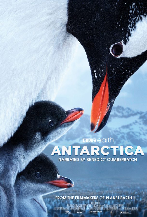 PHOTO: California Science Center IMAX Theater | The South Pasadenan | Antarctica 3D, Narrated by Benedict Cumberbatch, Opens June 21 at California Science Center IMAX Theater