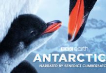 Science Center IMAX Theater | Antarctica 3D Opens June 21 PHOTO: California Science Center IMAX Theater | The South Pasadenan | Antarctica 3D, Narrated by Benedict Cumberbatch, Opens June 21 at California Science Center IMAX Theater
