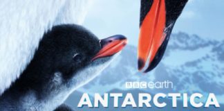 PHOTO: California Science Center IMAX Theater | The South Pasadenan | Antarctica 3D, Narrated by Benedict Cumberbatch, Opens June 21 at California Science Center IMAX Theater
