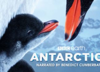 PHOTO: California Science Center IMAX Theater | The South Pasadenan | Antarctica 3D, Narrated by Benedict Cumberbatch, Opens June 21 at California Science Center IMAX Theater