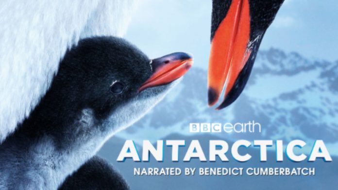 PHOTO: California Science Center IMAX Theater | The South Pasadenan | Antarctica 3D, Narrated by Benedict Cumberbatch, Opens June 21 at California Science Center IMAX Theater