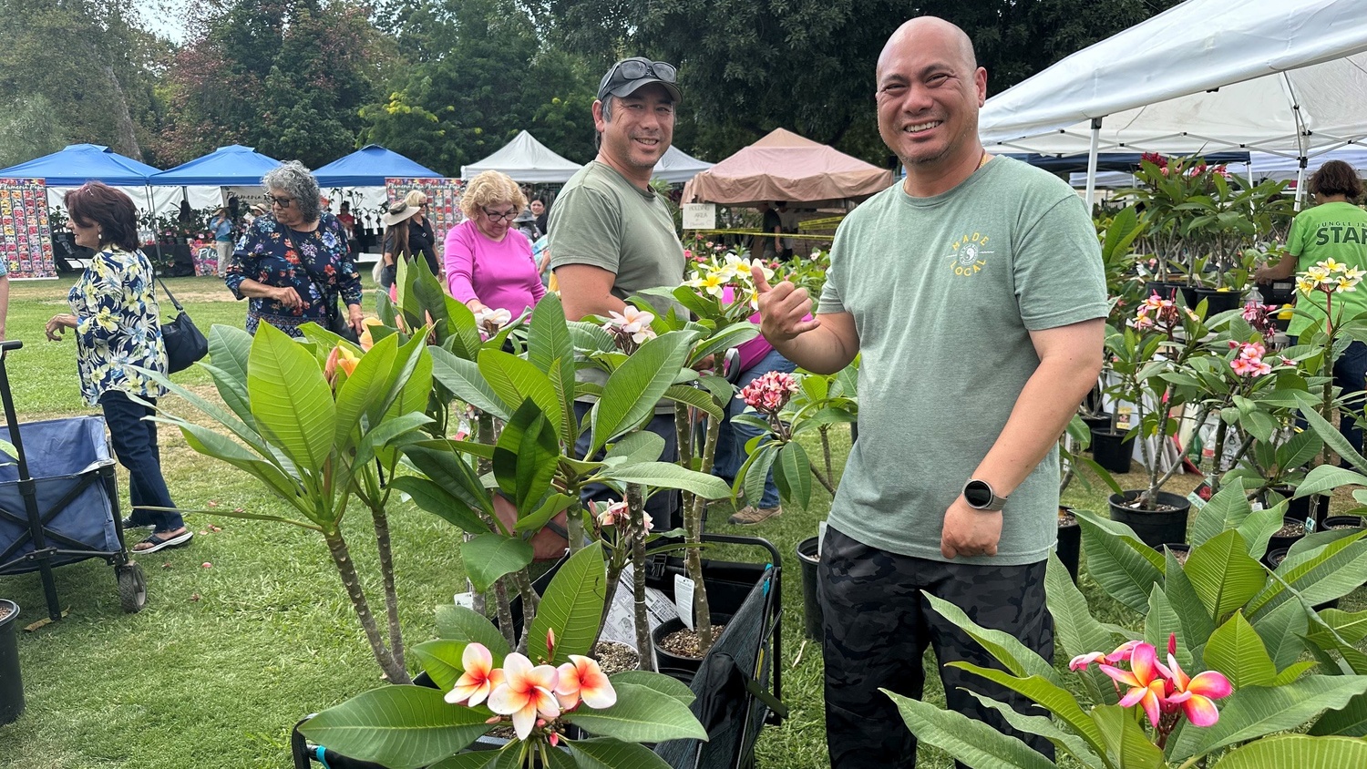 | The South Pasadenan | South Pasadena News PHOTO: LA Arboretum | The South Pasadenan | 12th Annual Plumeria Festival at the LA Arboretum