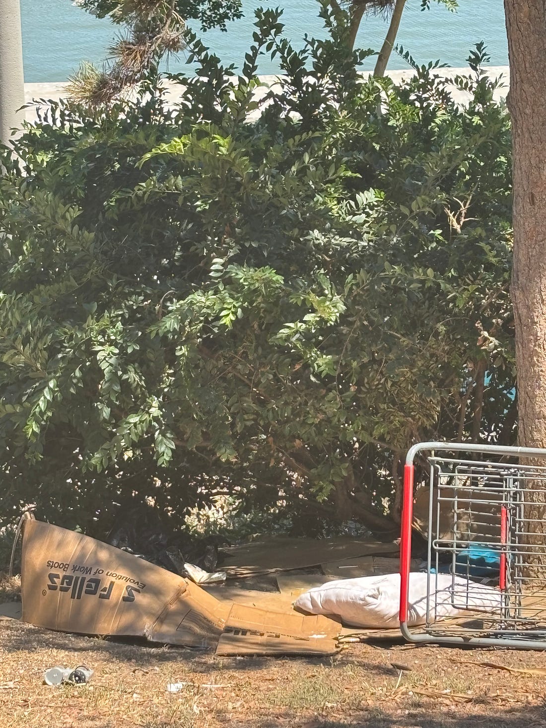| The South Pasadenan | South Pasadena News Photo credit: Chris Bray | Photo Essay: Los Angeles City Government is a Sanctimonious Death Cult Led by a Dimwitted Sociopath