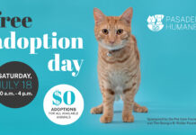 Free Pet Adoption Day on July 18 | Finding Forever Homes Through Summer Fee-Waived Adoptions Graphic: Pasadena Humane | The South Pasadenan | Pasadena Humane Hosts Free Pet Adoption Day on July 18