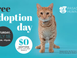 Graphic: Pasadena Humane | The South Pasadenan | Pasadena Humane Hosts Free Pet Adoption Day on July 18