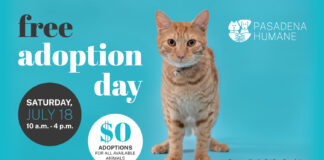Graphic: Pasadena Humane | The South Pasadenan | Pasadena Humane Hosts Free Pet Adoption Day on July 18