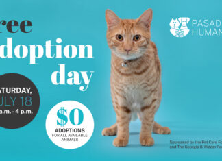 Free Pet Adoption Day on July 18 | Finding Forever Homes Through Summer Fee-Waived Adoptions Graphic: Pasadena Humane | The South Pasadenan | Pasadena Humane Hosts Free Pet Adoption Day on July 18