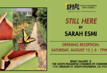 Graphic: SPARC | The South Pasadenan | STILL HERE by Sarah Esmi