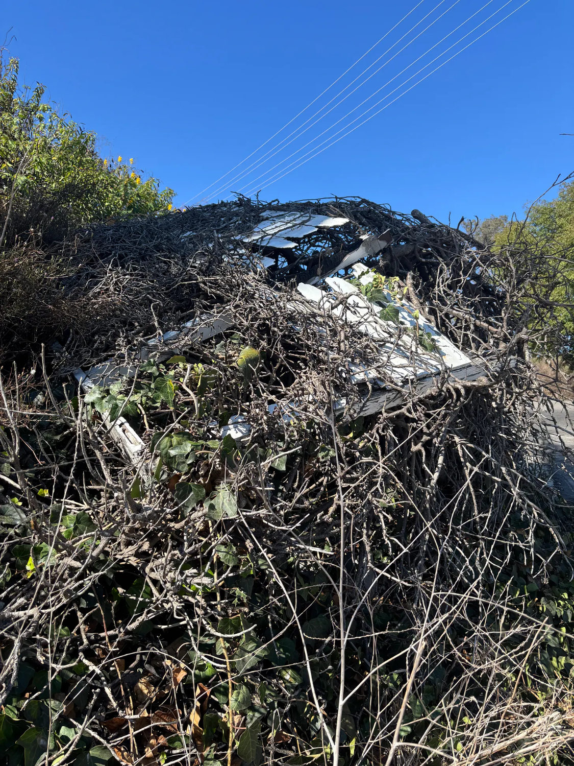 | The South Pasadenan | South Pasadena News PHOTO: Chris Bray | The South Pasadenan | Pacific Palisades Twenty Months Later: Rebuilding and Ruin