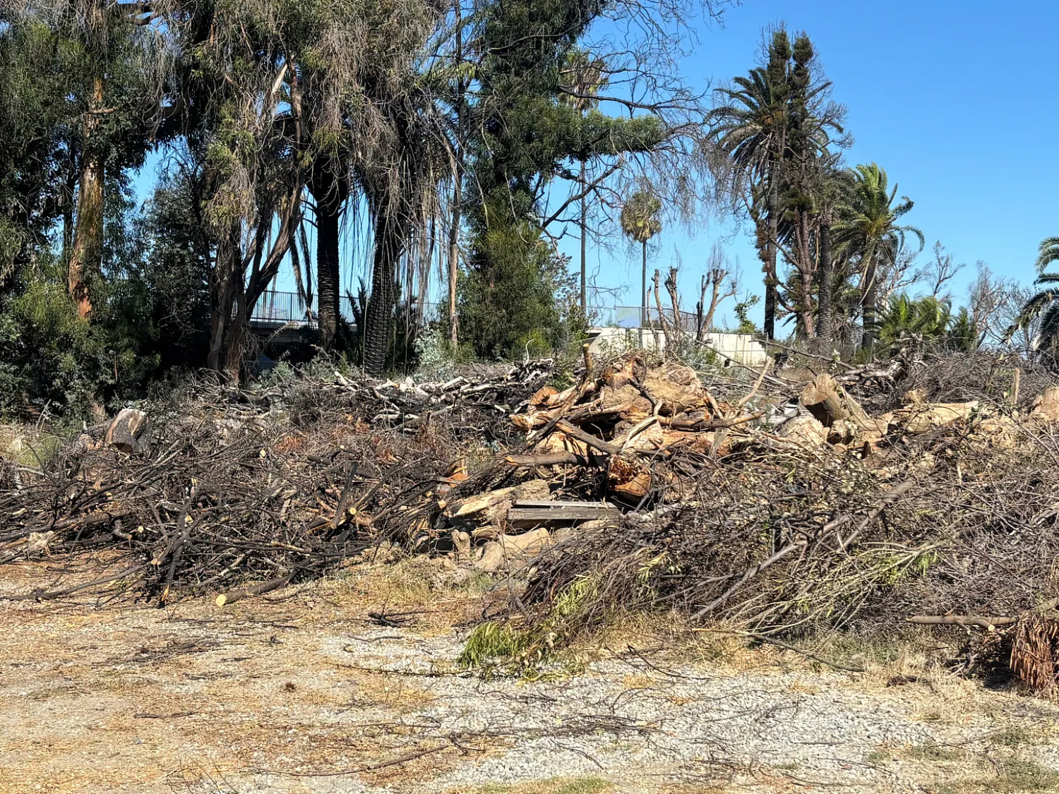 | The South Pasadenan | South Pasadena News PHOTO: Chris Bray | The South Pasadenan | Pacific Palisades Twenty Months Later: Rebuilding and Ruin