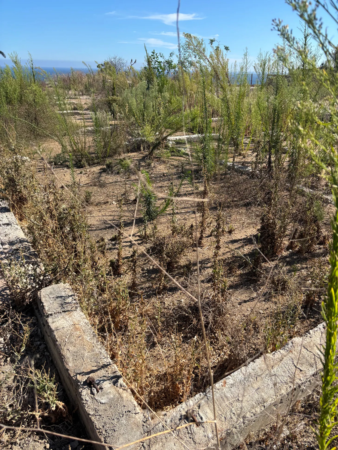 | The South Pasadenan | South Pasadena News PHOTO: Chris Bray | The South Pasadenan | Pacific Palisades Twenty Months Later: Rebuilding and Ruin