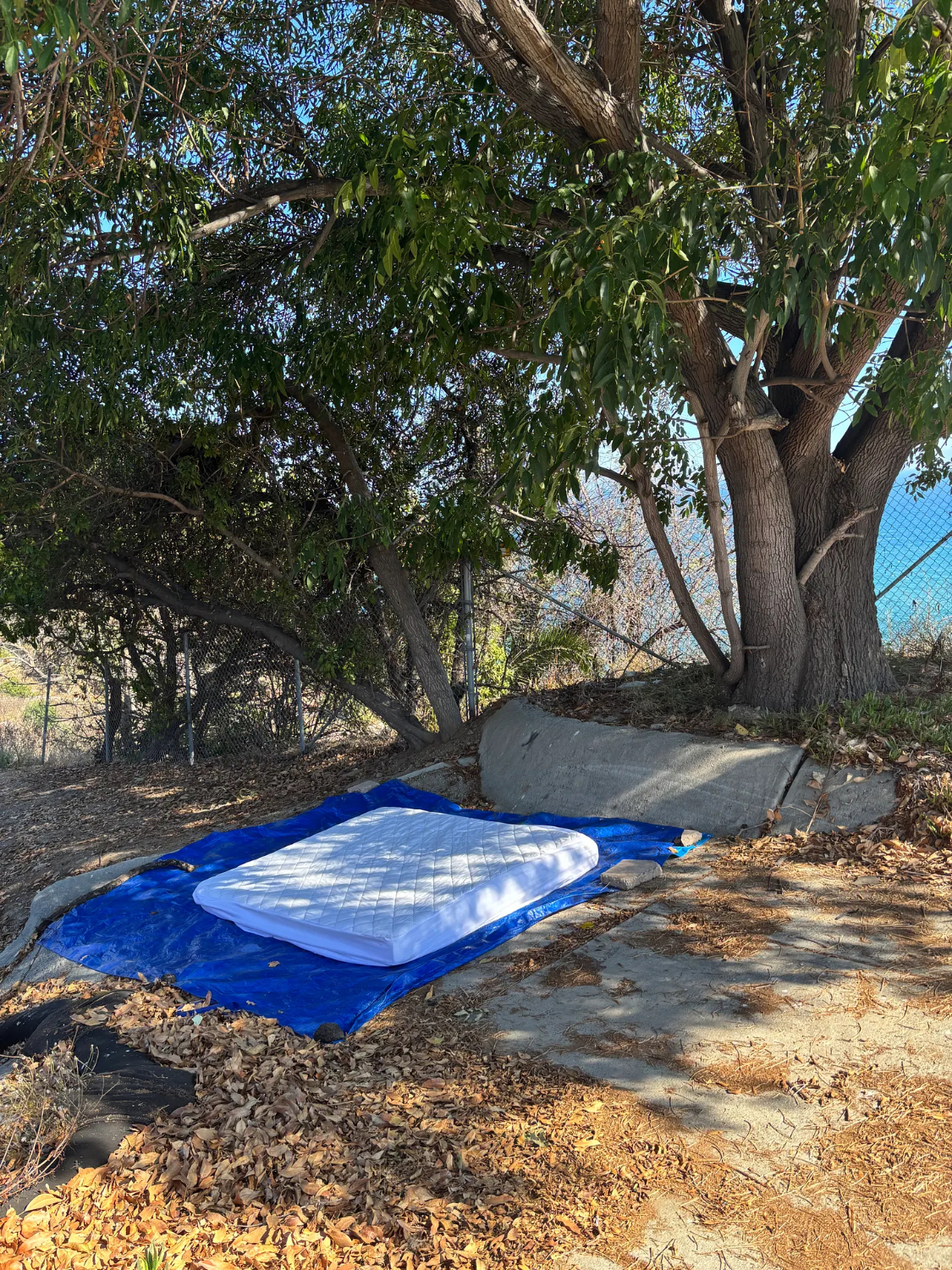 | The South Pasadenan | South Pasadena News PHOTO: Chris Bray | The South Pasadenan | Pacific Palisades Twenty Months Later: Rebuilding and Ruin