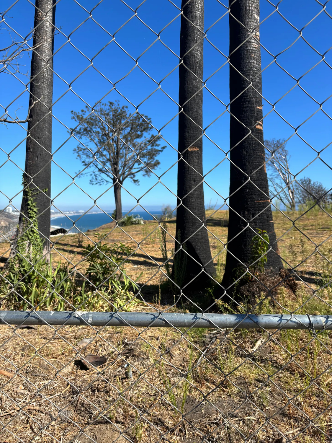 | The South Pasadenan | South Pasadena News PHOTO: Chris Bray | The South Pasadenan | Pacific Palisades Twenty Months Later: Rebuilding and Ruin