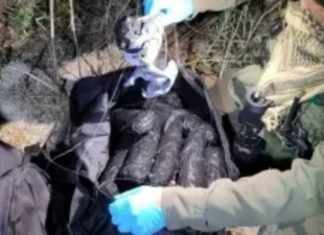 San Diego Border Patrol Arrests Minor Smuggling Nearly 27 Pounds of Methamphetamine PHOTO: San Diego Sector Border Patrol | The South Pasadenan | Over $32,000 worth of methamphetamine (26.89 lbs) was recovered from duffle bags by San Diego Sector Border Patrol agents after they arrested a minor attempting to smuggle the drugs into the United States.