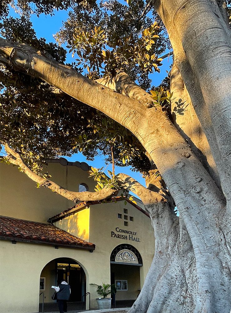 | The South Pasadenan | South Pasadena News PHOTO: Steven Lawrence | The South Pasadenan News | Holy Family Church on Fremont Street at sunrise in the couryard