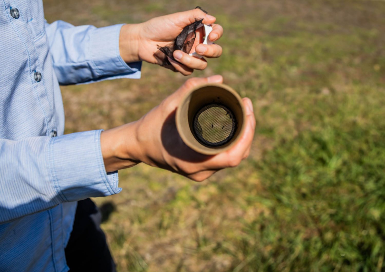 | The South Pasadenan | South Pasadena News Learn About Our New Mosquito Control Program Using Sterile Insect Technique!