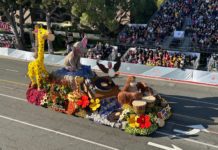 WINNER: South Pasadena Rose Parade Float Wins the ‘Founder Award’ (updated) PHOTO: Bill Glazier | The South Pasadenan | South Pasadena Tournament of Roses 2024 parade float: winner of the 'Founder Award'.