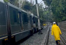 METRO L-Line hit tree on tracks during rainstorm