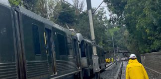 METRO L-Line Accident | Train Collides with Fallen Tree in South Pasadena METRO L-Line hit tree on tracks during rainstorm