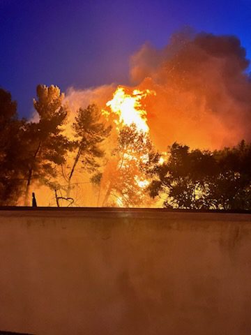 South Pasadena Fire Monterey Hills'Teresa' fire: Tues. Jan. 6th, 2025 erupted shortly before the Eaton Fire. The South Pasadena department's quick and professional work, led by new South Pasadena Fire Chief Lloyd. "They saved us and the neighborhood outright...a huge debt of gratitude is owed to our firefighters.." say local residents.