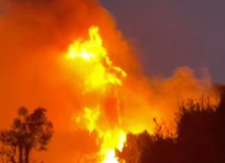 South Pasadena Fire Monterey Hills 'Teresa' fire: Tues. Jan. 7th, 2025 erupted shortly before the Eaton Fire. The South Pasadena department's quick and professional work, led by new South Pasadena Fire Chief Lloyd. "They saved us and the neighborhood outright...a huge debt of gratitude is owed to our firefighters.." say local residents.