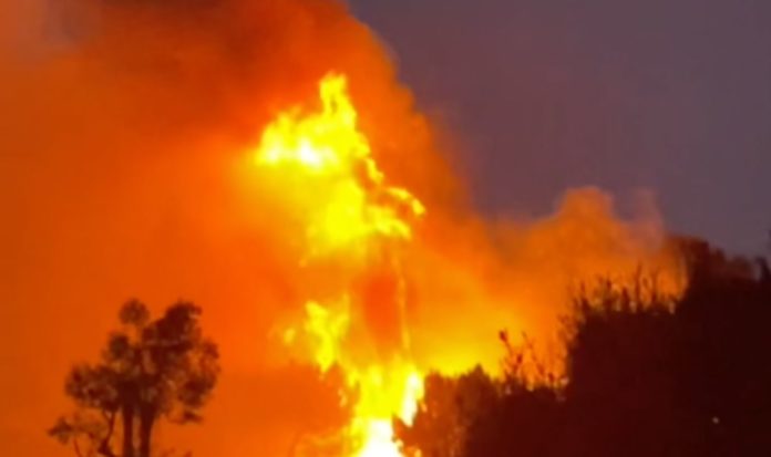 South Pasadena Fire Monterey Hills 'Teresa' fire: Tues. Jan. 7th, 2025 erupted shortly before the Eaton Fire. The South Pasadena department's quick and professional work, led by new South Pasadena Fire Chief Lloyd. "They saved us and the neighborhood outright...a huge debt of gratitude is owed to our firefighters.." say local residents.