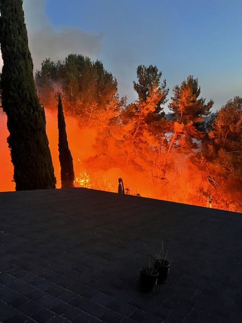 South Pasadena Fire Monterey Hills'Teresa' fire: Tues. Jan. 6th, 2025 erupted shortly before the Eaton Fire. The South Pasadena department's quick and professional work, led by new South Pasadena Fire Chief Lloyd. "They saved us and the neighborhood outright...a huge debt of gratitude is owed to our firefighters.." say local residents.