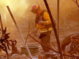 Fire aftermath in Altadena. Eaton Fire Palisades Fires. Firefighter inspecting through catastrophic loss of homes and businesses
