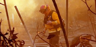 Fire aftermath in Altadena. Eaton Fire Palisades Fires. Firefighter inspecting through catastrophic loss of homes and businesses
