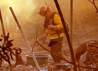 Fire aftermath in Altadena. Eaton Fire Palisades Fires. Firefighter inspecting through catastrophic loss of homes and businesses