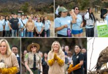 California Volunteers & Climate Action Corps Join Forces to Restore Eaton Canyon PHOTO: Keeping Up With Kathryn | The South Pasadenan | California Volunteers and Climate Action Corps Join Forces to Restore Eaton Canyon
