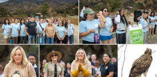 PHOTO: Keeping Up With Kathryn | The South Pasadenan | California Volunteers and Climate Action Corps Join Forces to Restore Eaton Canyon
