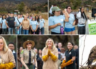 PHOTO: Keeping Up With Kathryn | The South Pasadenan | California Volunteers and Climate Action Corps Join Forces to Restore Eaton Canyon